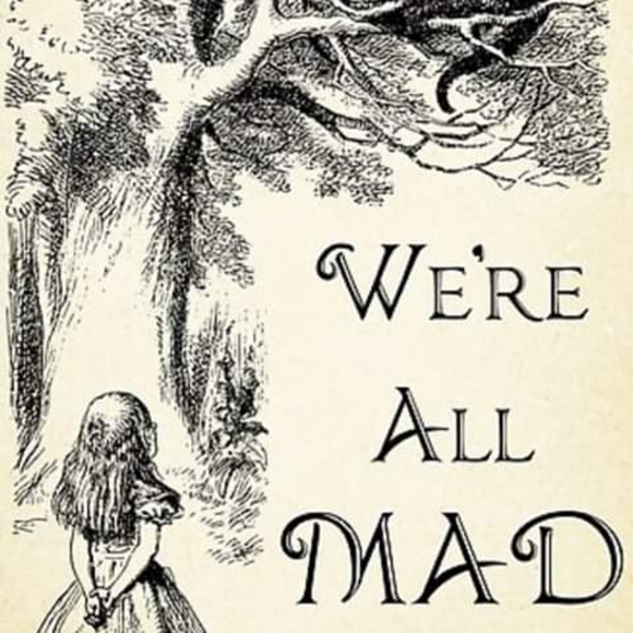 Meet your Posher, Harley - Picture 6 of 12